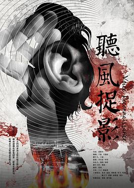 孙博豪主演电视剧听风捉影