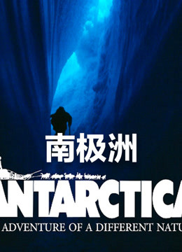 搜剧网在线观看电影南极洲