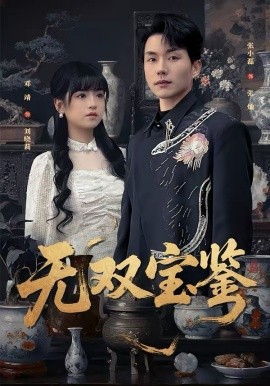 无双宝鉴热播电视剧