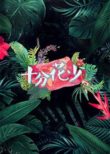 十分花少热播电视剧